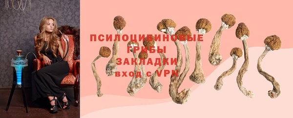 гашик Магас