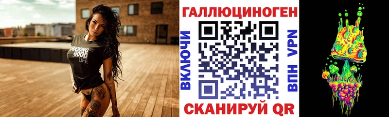 купить наркотики сайты  Алагир  Галлюциногенные грибы MAGIC MUSHROOMS 